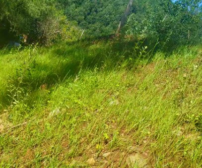 柳關欒盧鉛鋅礦|治理排土“瘡疤”，繪就綠色畫卷